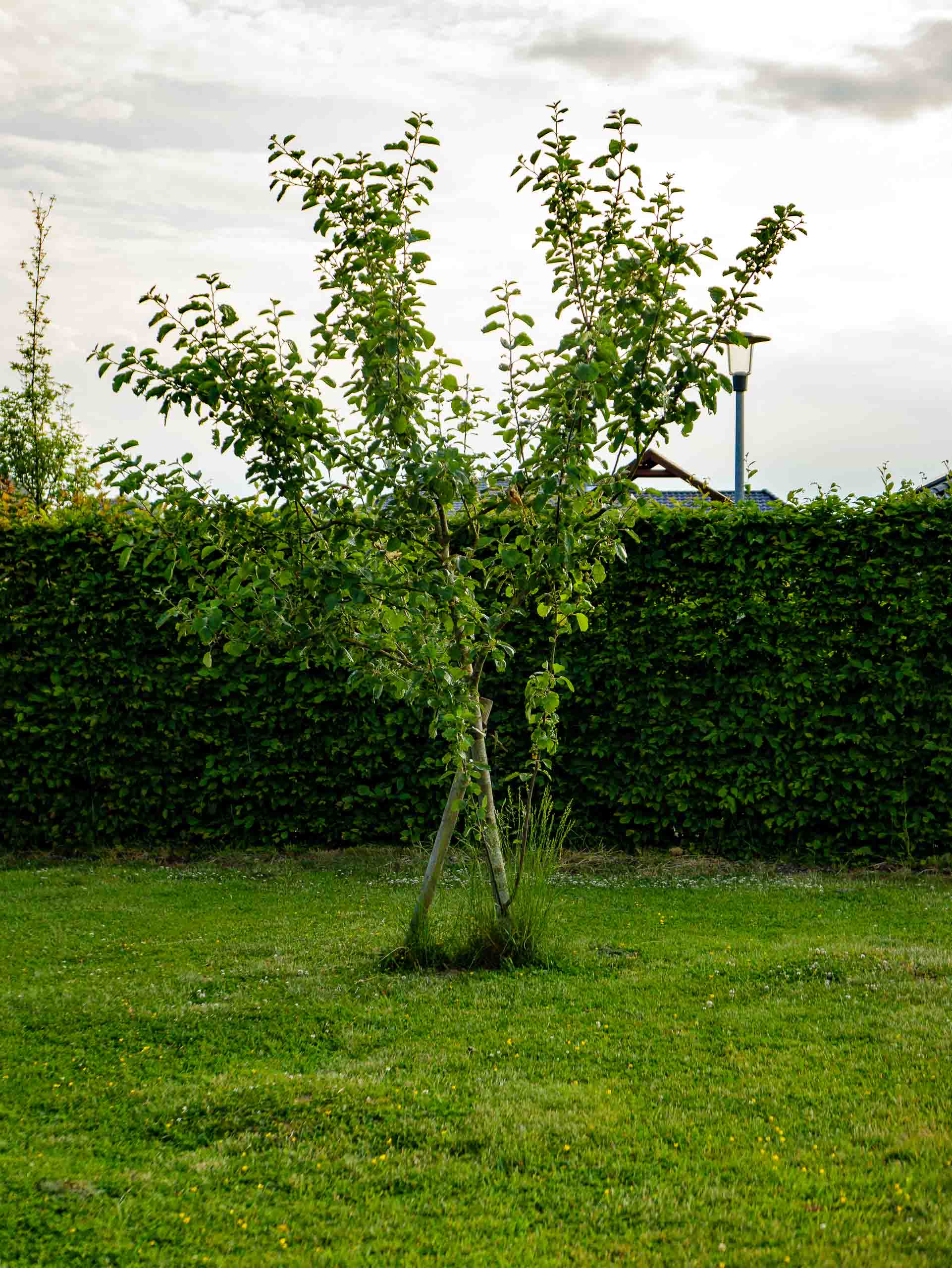 Garten 2 2