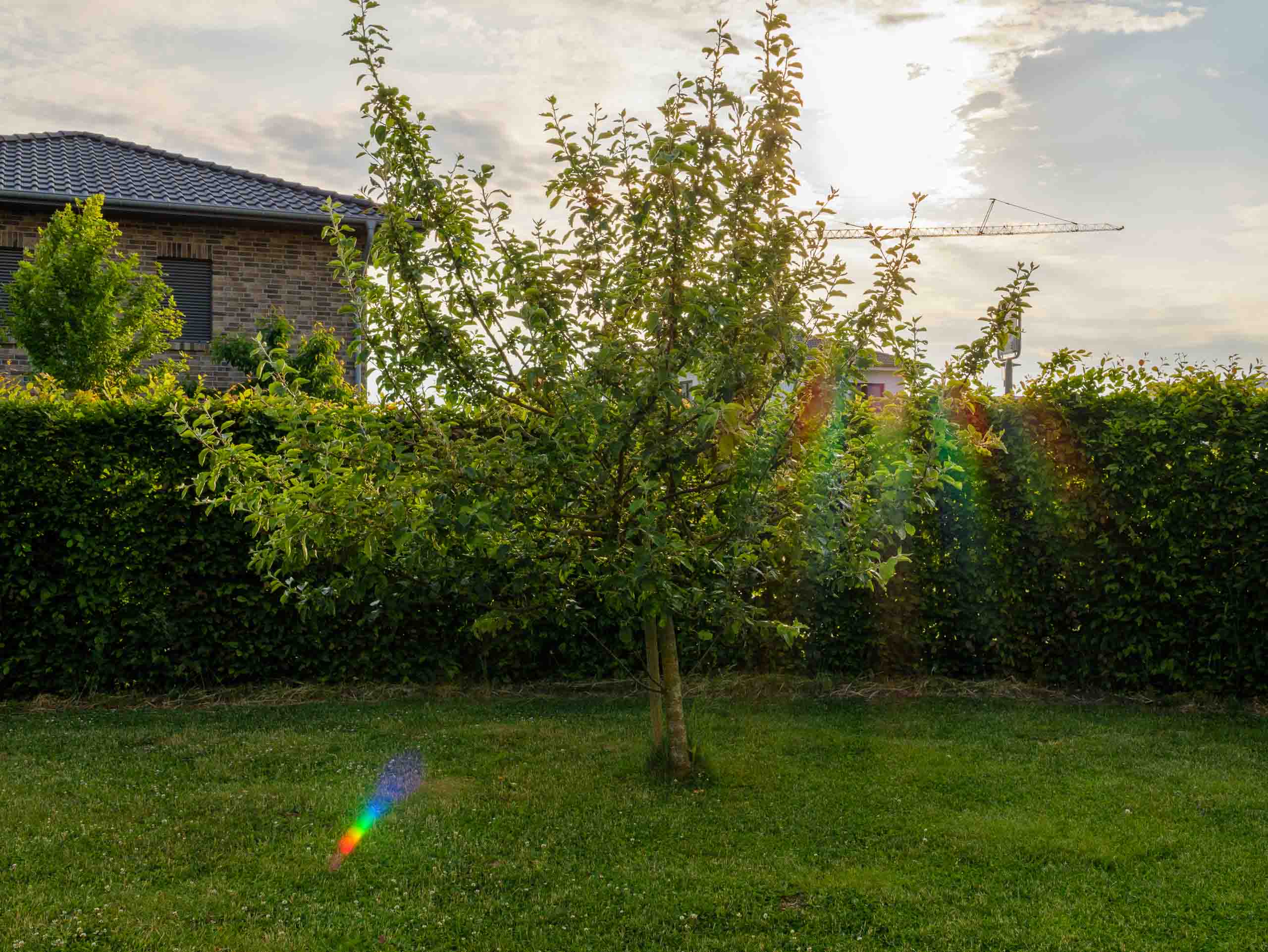Garten 4 2